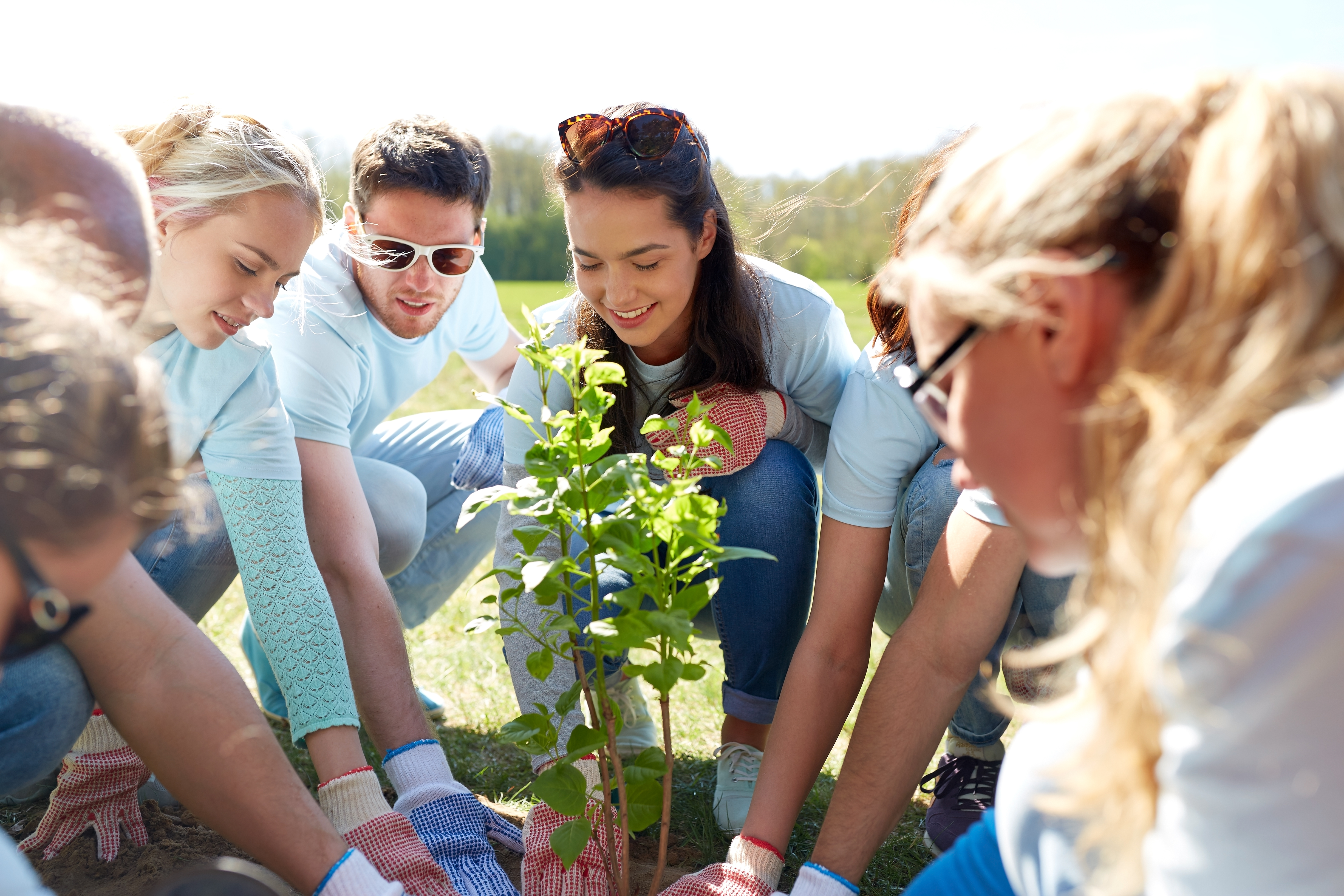 group of volunteers planting tree in park